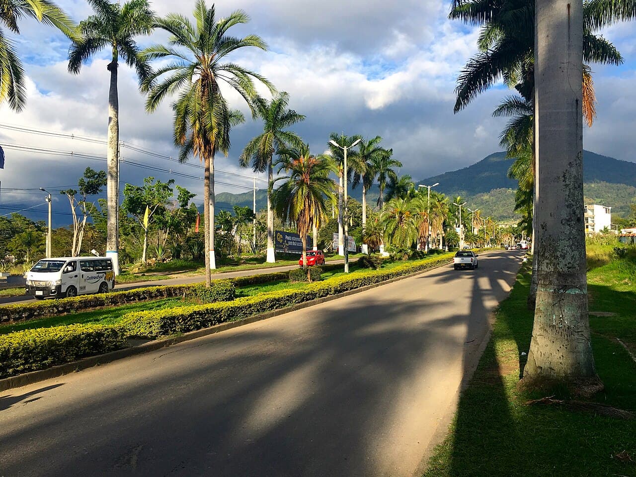 Transporte ejecutivo Fusagasugá - vista ciudad y Sin aeropuerto comercial — vía terrestre desde Bogotá