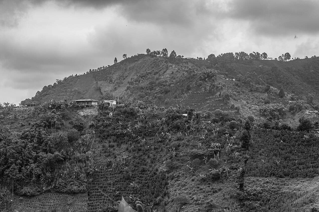 Transporte ejecutivo Santa Rosa de Cabal - vista ciudad y Aeropuerto Internacional Matecaña (PEI) — vía Pereira